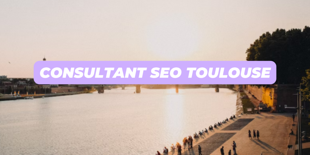 consultant seo toulouse
